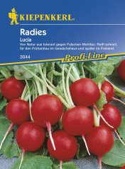 Lucia Kiepenkerl radish seed package with red round radishes on blue packaging, displaying fresh vegetables with white roots