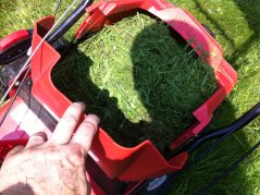 GTM 460 SP1 SC H CN travní sekačka s benzinovým motorem a pojezdem