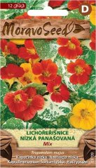 Lichořeřišnice nízká panašovaná