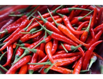 Vi odlar Chili