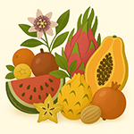 Semena podle doby sklizně – jarní, letní, podzimní i zimní