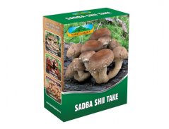 Zelená krabička s produktem Sadba Shii Take od Noble Garden, na obalu jsou hnědé houby shii take s bílými tečkami rostoucí na tmavém dřevě