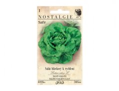 Salát hlávkový k rychlení Safir