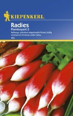 Radish seeds package Flamboyant 2 by Kiepenkerl with photo of red-white cylindrical radishes and green leaves on blue packaging background