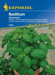 Blue-yellow package of Genoveser broad-leaf basil seeds by Kiepenkerl with photo of green plant in pot against garden background
