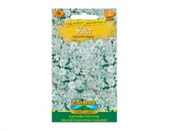 Paquete de semillas de cerastio blanco con imagen de pequeñas flores blancas en envase verde de Gardenline, contenido de 790 semillas para jardín