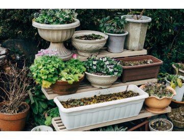 Drainage dans le pot