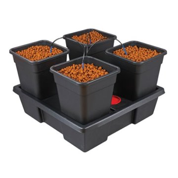 Cultivo hidropónico