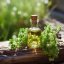 Oregano - 100% přírodní esenciální olej (10ml) - Pěstík