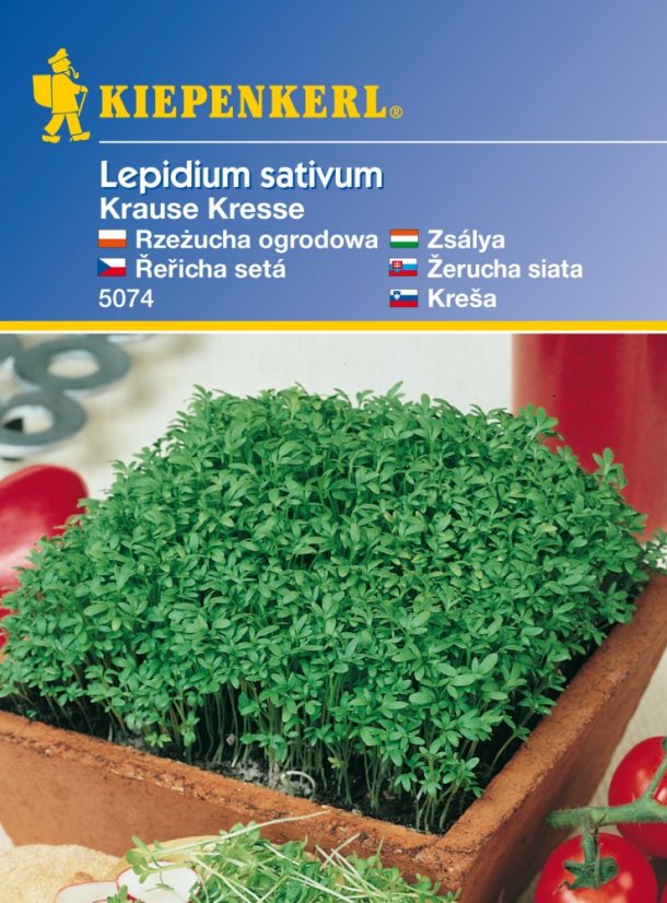Řeřicha Krause