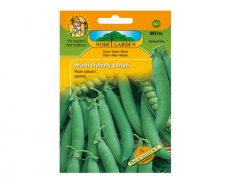 Hrách dřeňový pozdní Lancet