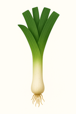 Semena podle doby sklizně – jarní, letní, podzimní i zimní