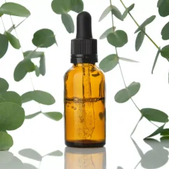 Borostyán üvegcsepper tartalmazó aranylő BIO eukaliptusz illóolajat, friss zöld eukaliptusz levelek között
