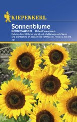 Slunečnice - Helianthus řezaný zázrak