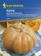 Tekvica Mus. De Provence - semená tekvice