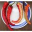 Paprika divoká (capsicum annuum 'Sweet Nariniense') 5 semen