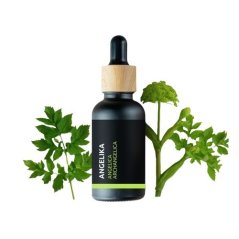 Schwarze Glasflasche mit Holzverschluss, enthält Bio-Angelika ätherisches Öl, umgeben von frischen grünen Angelika-Blättern Schwarze Glasflasche mit Holzverschluss, enthält Bio-Angelika ätherisches Öl, umgeben von frischen grünen Angelika-Blättern