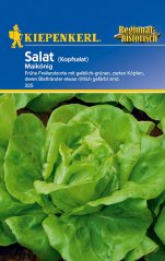 Hlávkový salát Maikönig