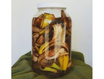 Vaut-il mieux acheter un substrat ou un engrais ?