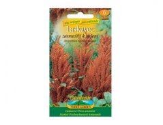 Laskavec zasmušilý k sušení, oranžový