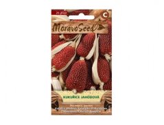 Kukuřice jahodová (Zea mays) 20 semen