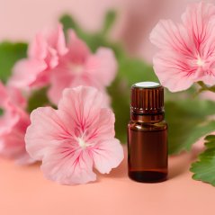 BIO Pelargonie - 100% přírodní esenciální olej (10 ml)