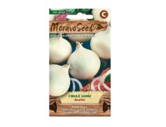 Cibule jarní bílá AVALON