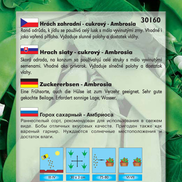 Hrách zahradní - Ambrosia