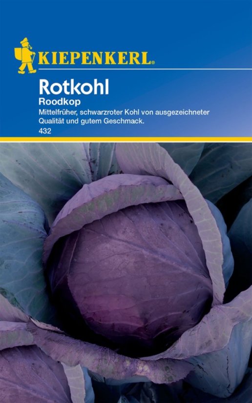 Červené zelí Roodkop