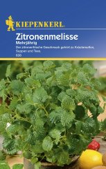 Paquete de semillas de toronjil KIEPENKERL sobre fondo azul con planta verde fresca, limón amarillo y pimiento rojo