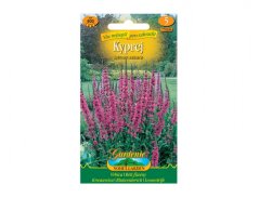 Kyprej - Lythrum salicaria