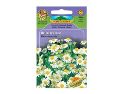 Paquete de semillas de manzanilla con flores blancas en envase púrpura de Nohel Garden, incluye imagen de flores blancas con centros amarillos
