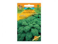 Zaadverpakking boerenkool Kapral van Nohel Garden met oranje-groene design, weergave van dichte gekrulde groene bladeren van deze vorstbestendige variëteit Zaadverpakking boerenkool Kapral van Nohel Garden met oranje-groene design, weergave van dichte gekrulde groene bladeren van deze vorstbestendige variëteit