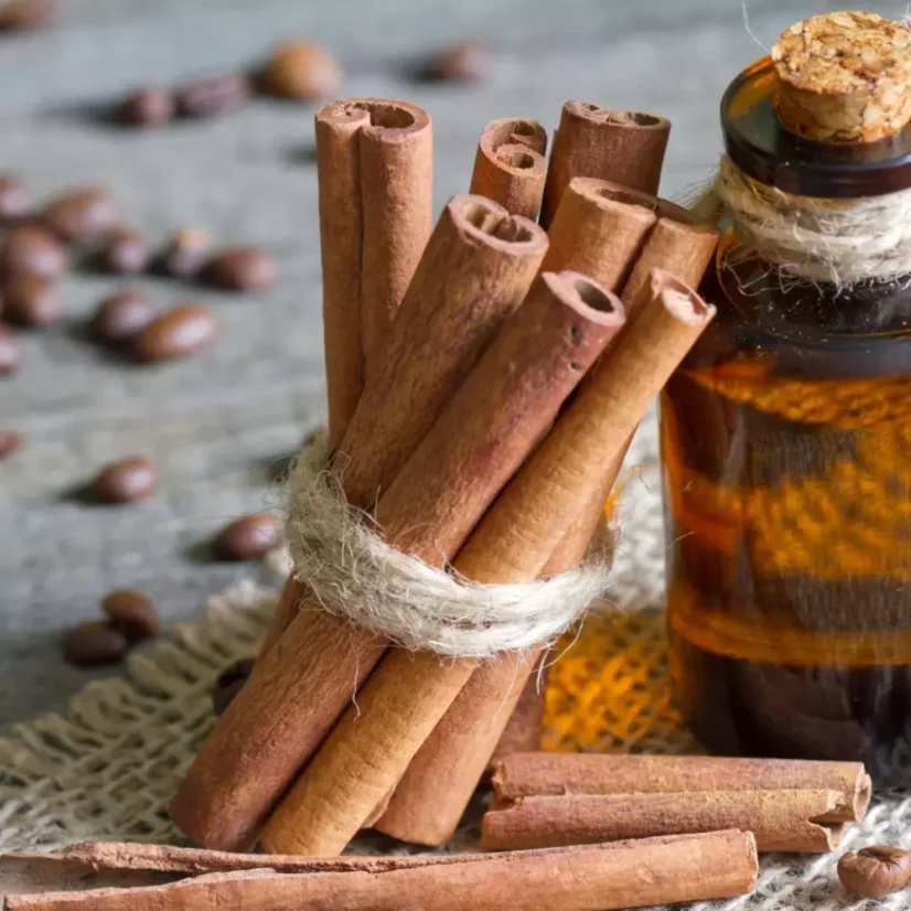 BIO Skořice - 100% přírodní esenciální olej (10 ml)