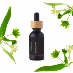 Aceite herbal BIO Bhringraj en botella de vidrio negro con gotero de madera rodeado de hojas verdes con flores blancas sobre fondo blanco Aceite herbal BIO Bhringraj en botella de vidrio negro con gotero de madera rodeado de hojas verdes con flores blancas sobre fondo blanco