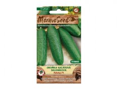 Samenpackung Gurke TOLSTOJ F1 von Moravoseed mit Foto grüner, rauer Gurken auf brauner Verpackung mit Text