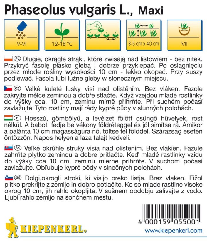 Keříčková fazole Maxi - semena fazole