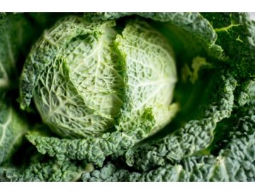 Kål - en överraskande tålig grönsak