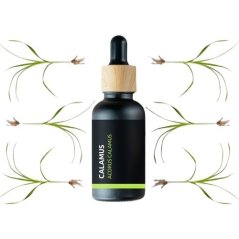 Schwarze Glasflasche mit Holzpipette, die Bio-Calamus-Ätherisches Öl enthält, umgeben von stilisierten grünen Pflanzenmotiven Schwarze Glasflasche mit Holzpipette, die Bio-Calamus-Ätherisches Öl enthält, umgeben von stilisierten grünen Pflanzenmotiven