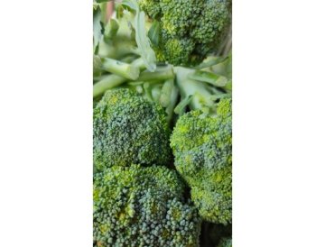 Brokula – nutritivno bogato povrće