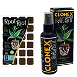 Cloning and planting