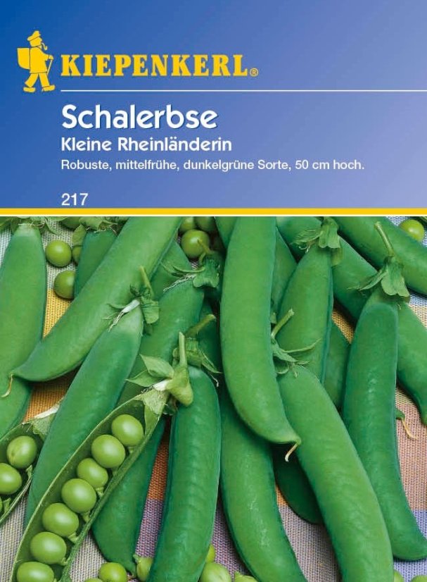 Šálový hrášek Kl. Rheinl.  – semena hrachu