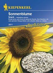 Slnečnica - Helianthus Snack