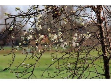 April - Gärtnerkalender