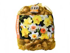 BUDGET NARCIS 3kg