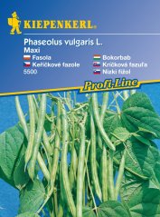 Keříčková fazole Maxi - semena fazole