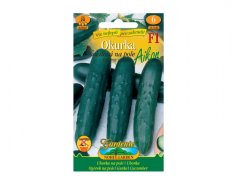 Okurka salátová na pole Aikon F1