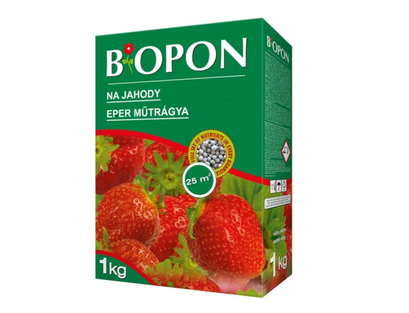 Zelená papírová krabice BIOPON na jahody 1kg s obrázkem červených jahod, granulovaného hnojiva a nápisem pro plochu 25 m², minerální výživa