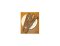 Černý kořen nebo-li hadí mord španělský