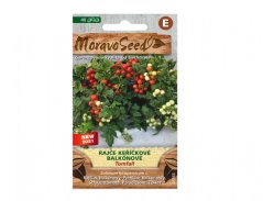 Rajče keříčkové balkónové TOMFALL, červené 65365